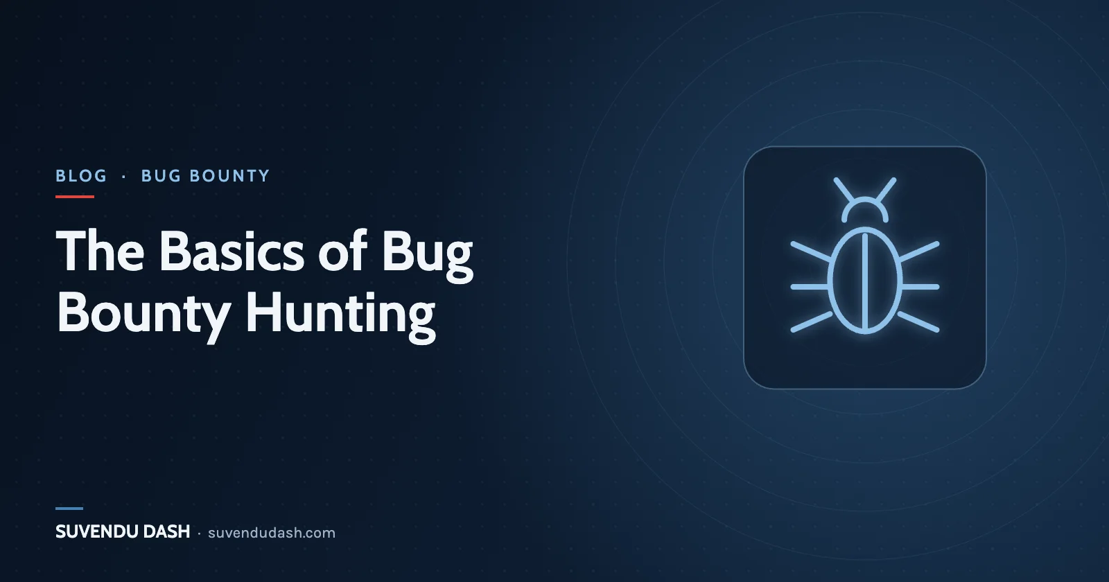 The Basics of Bug Bounty Hunting